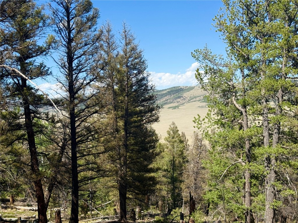 Lot 223 Middle Fork Vista Fairplay CO 80440