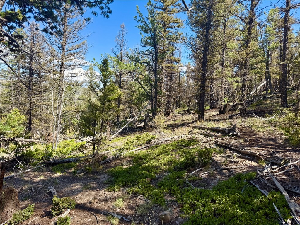 Lot 223 Middle Fork Vista Fairplay CO 80440