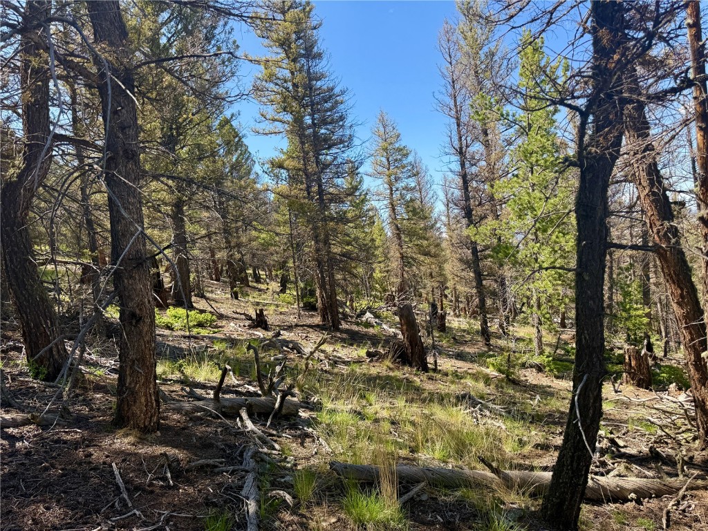 Lot 223 Middle Fork Vista Fairplay CO 80440