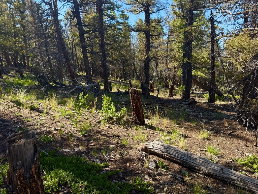 Lot 223 Middle Fork Vista Fairplay CO 80440