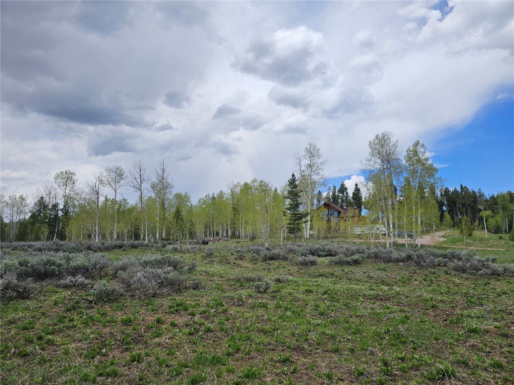 33636 Seneca Trail Oak Creek CO 80467