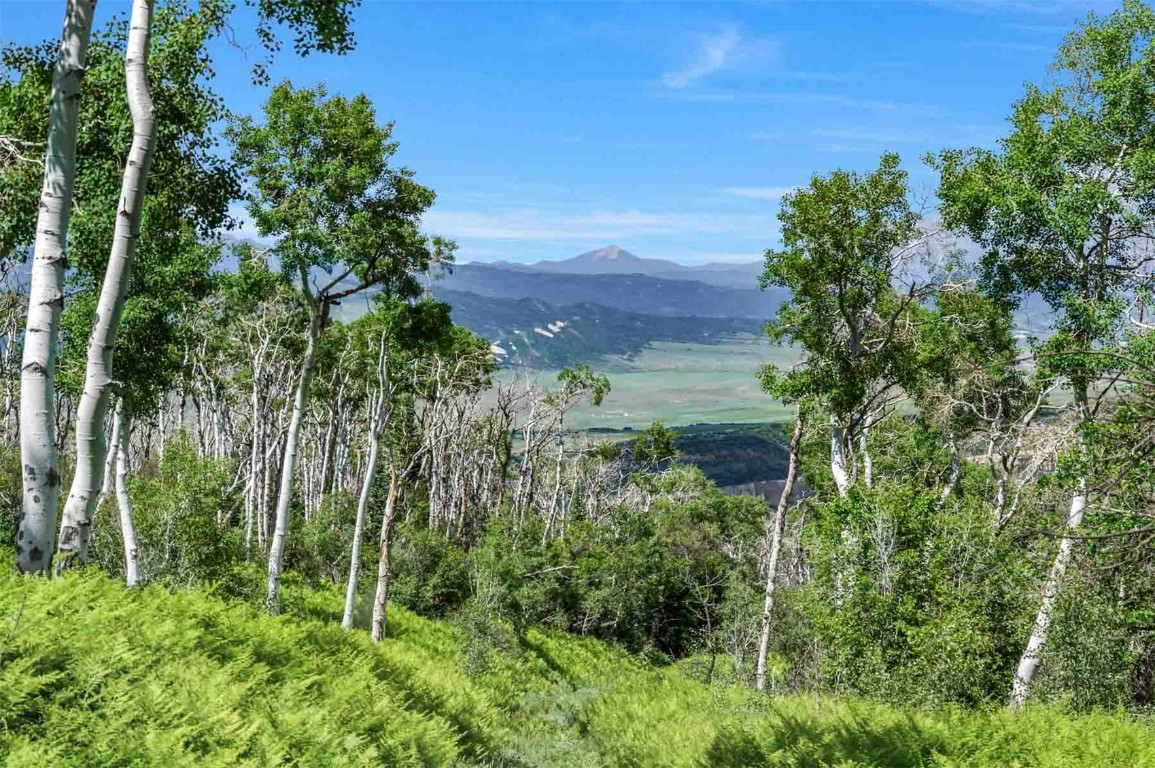 26760 Rimrock Trail Oak Creek CO 80467