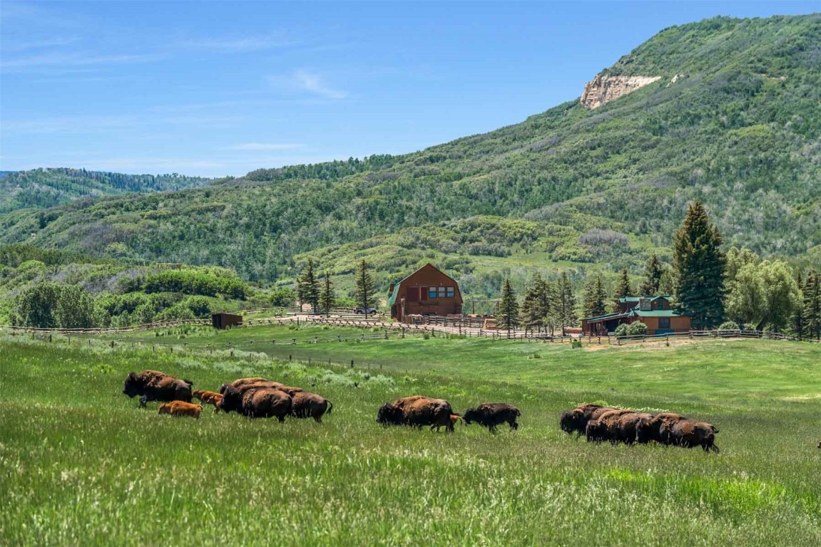 26760 Rimrock Trail Oak Creek CO 80467