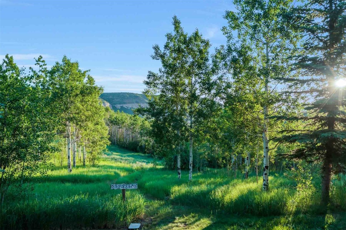 26760 Rimrock Trail Oak Creek CO 80467