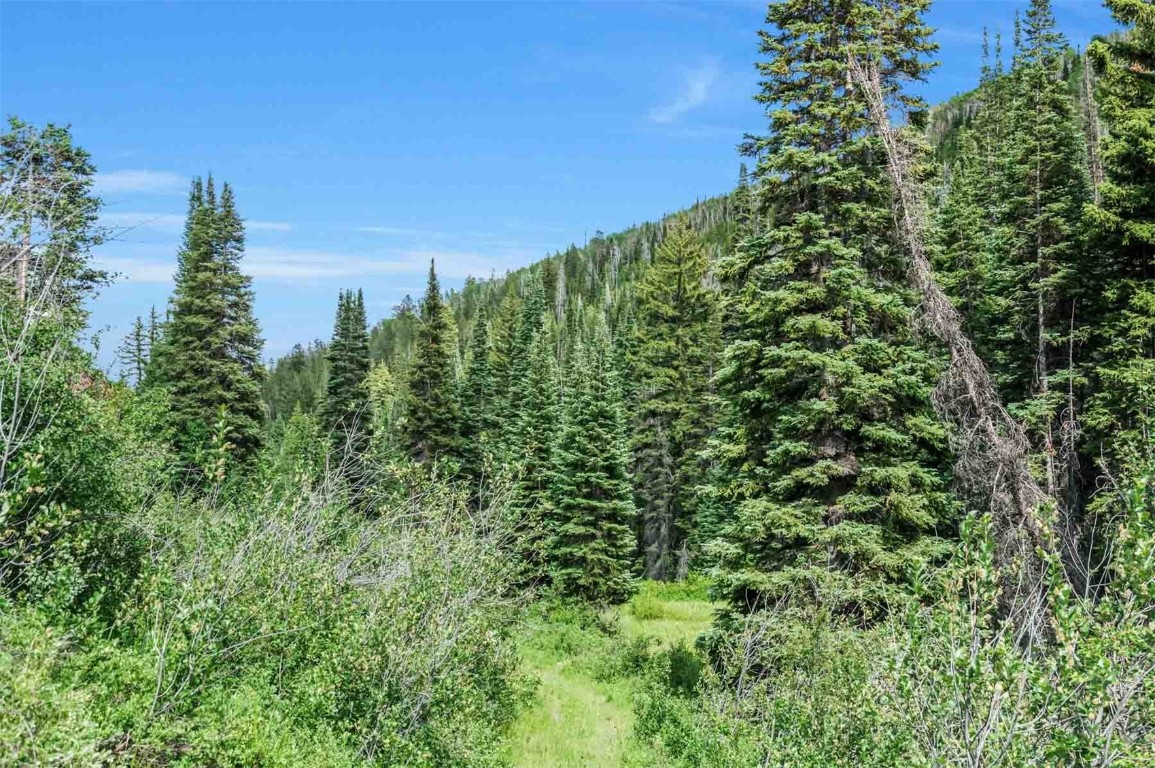 26760 Rimrock Trail Oak Creek CO 80467