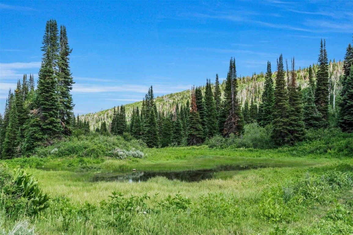 26760 Rimrock Trail Oak Creek CO 80467