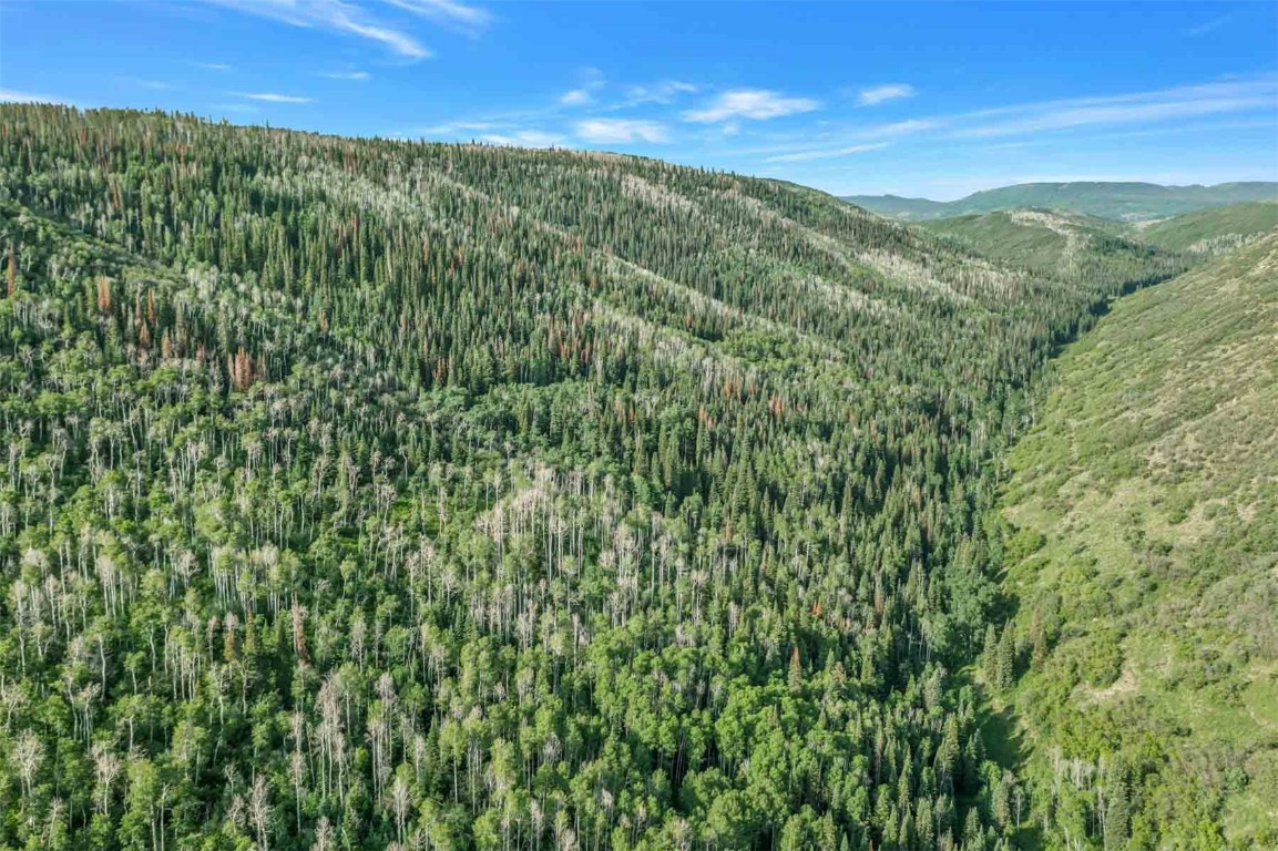 26760 Rimrock Trail Oak Creek CO 80467