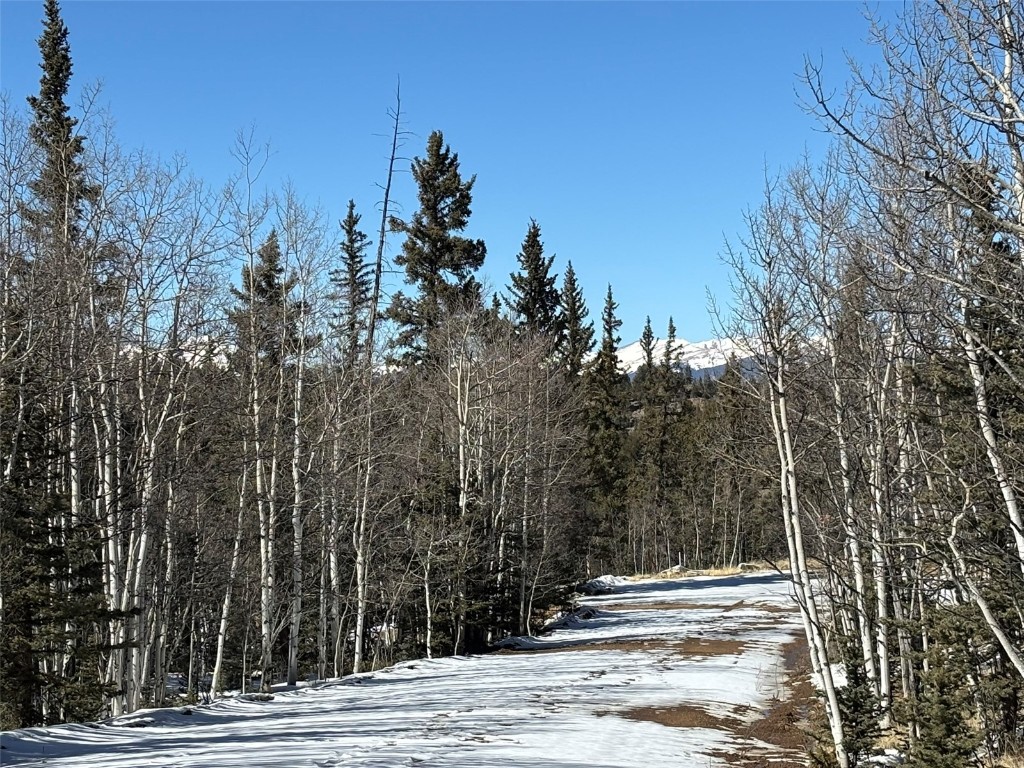 192 Bear Way Como CO 80432