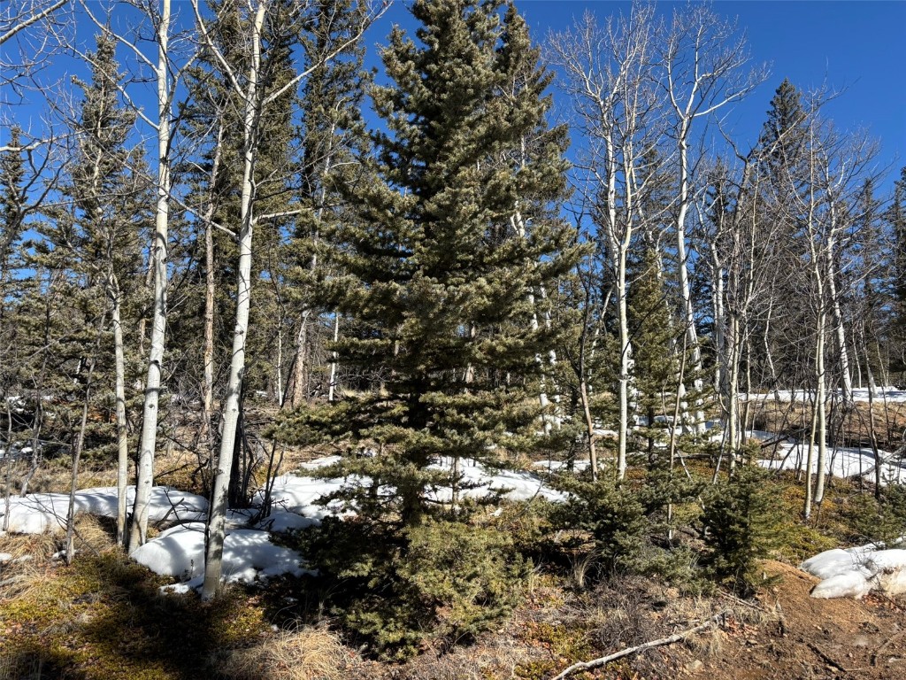 192 Bear Way Como CO 80432