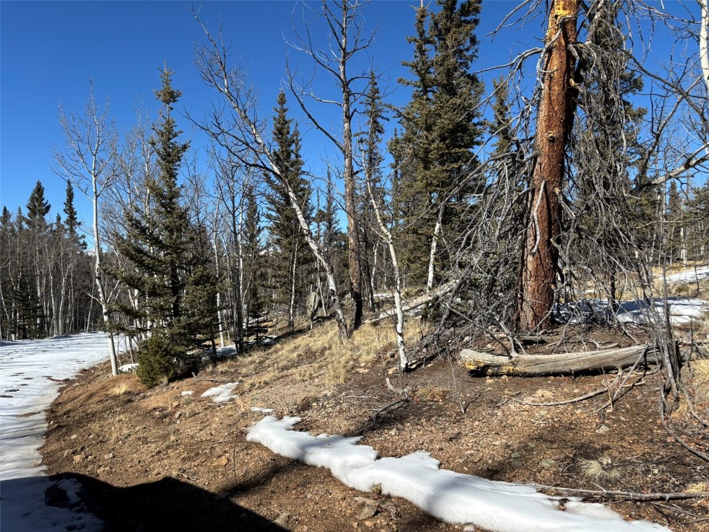192 Bear Way Como CO 80432