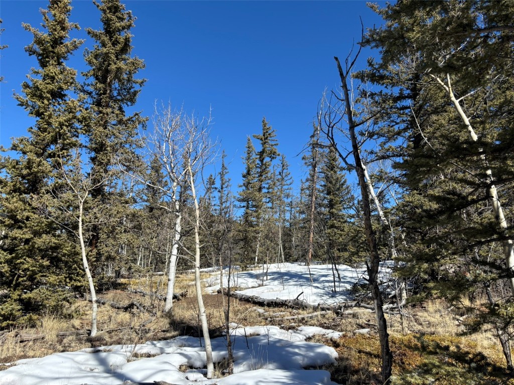 192 Bear Way Como CO 80432