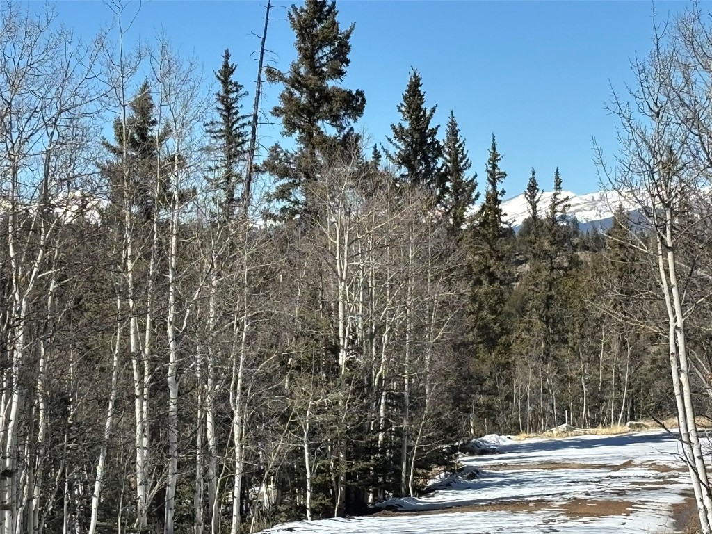 192 Bear Way Como CO 80432