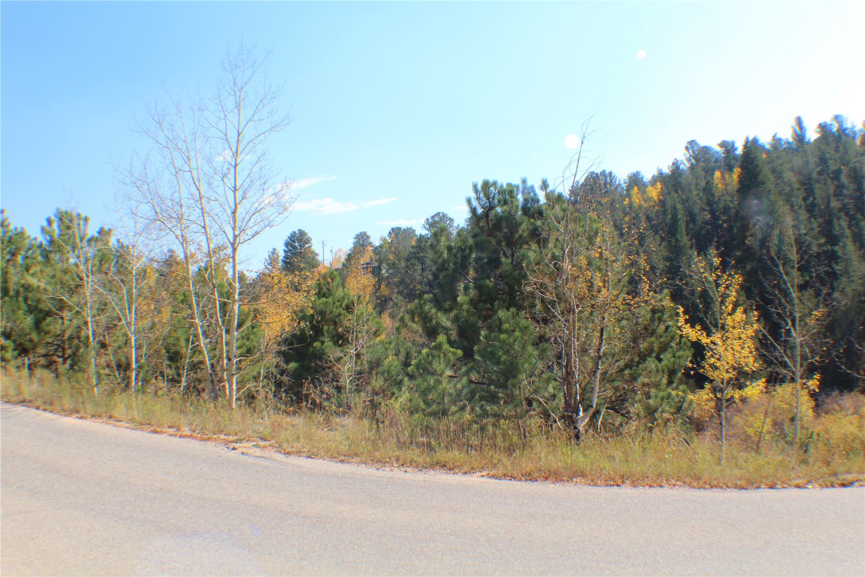 2012 Shelton Drive Bailey CO 80421