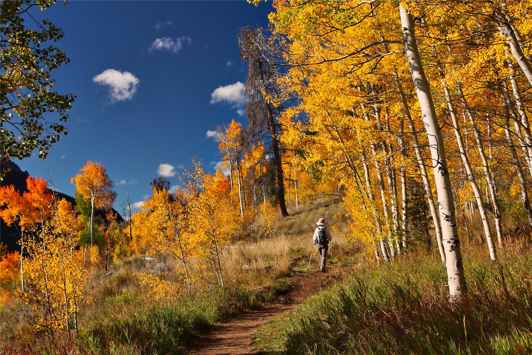 2180 Currant Way Silverthorne CO 80498