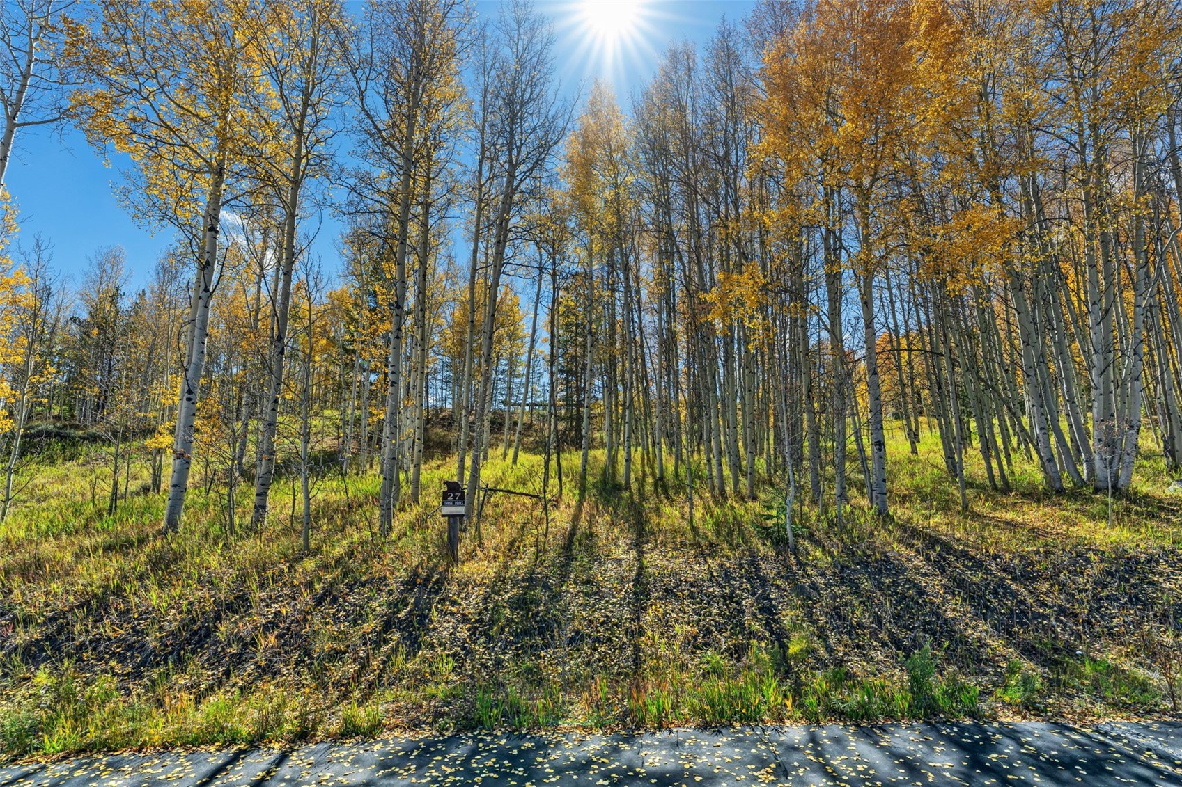 2180 Currant Way Silverthorne CO 80498
