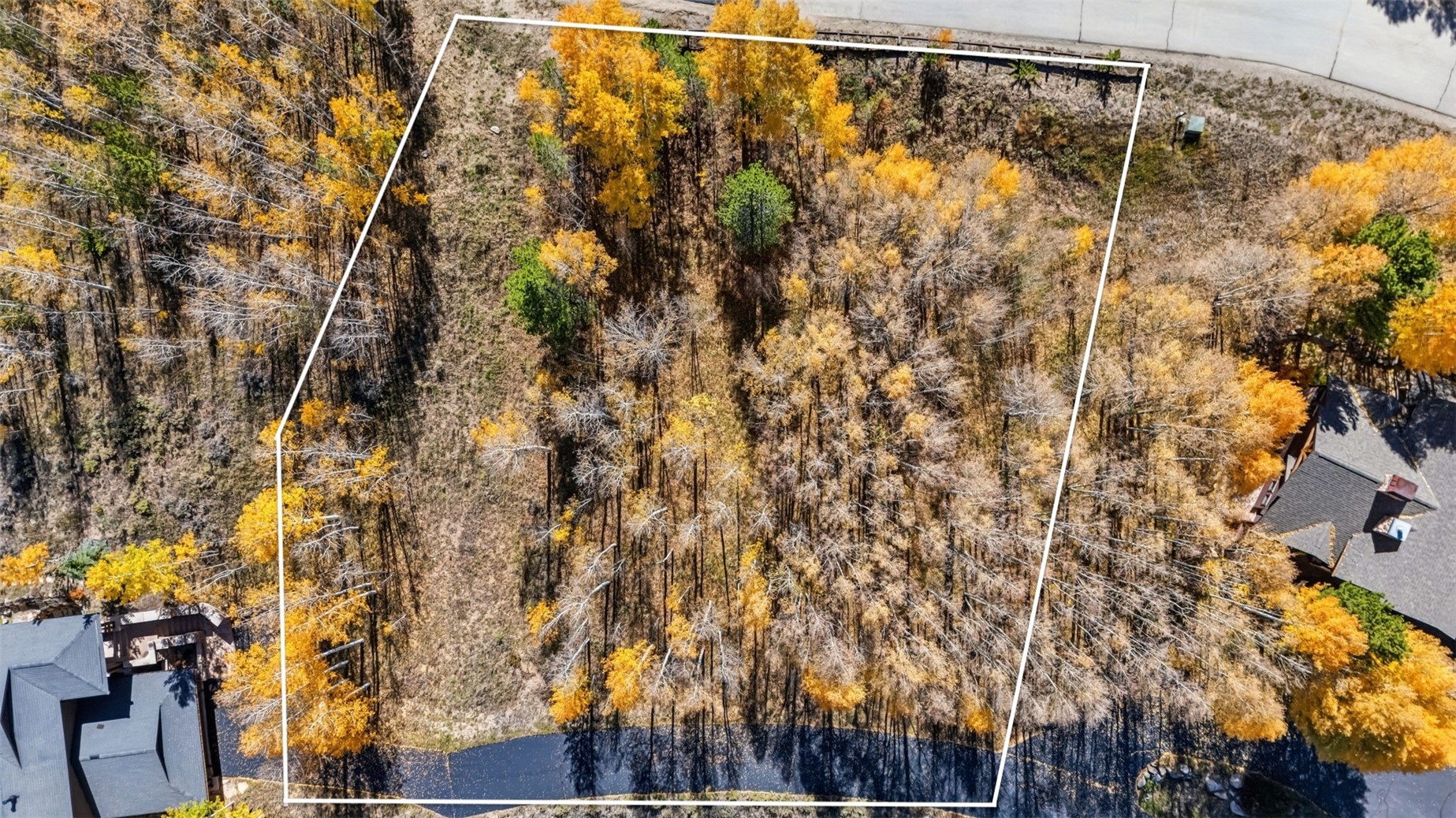2180 Currant Way Silverthorne CO 80498