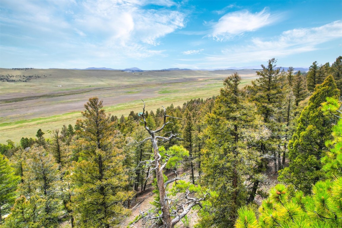 Tbd Trout Creek Lane Fairplay CO 80440