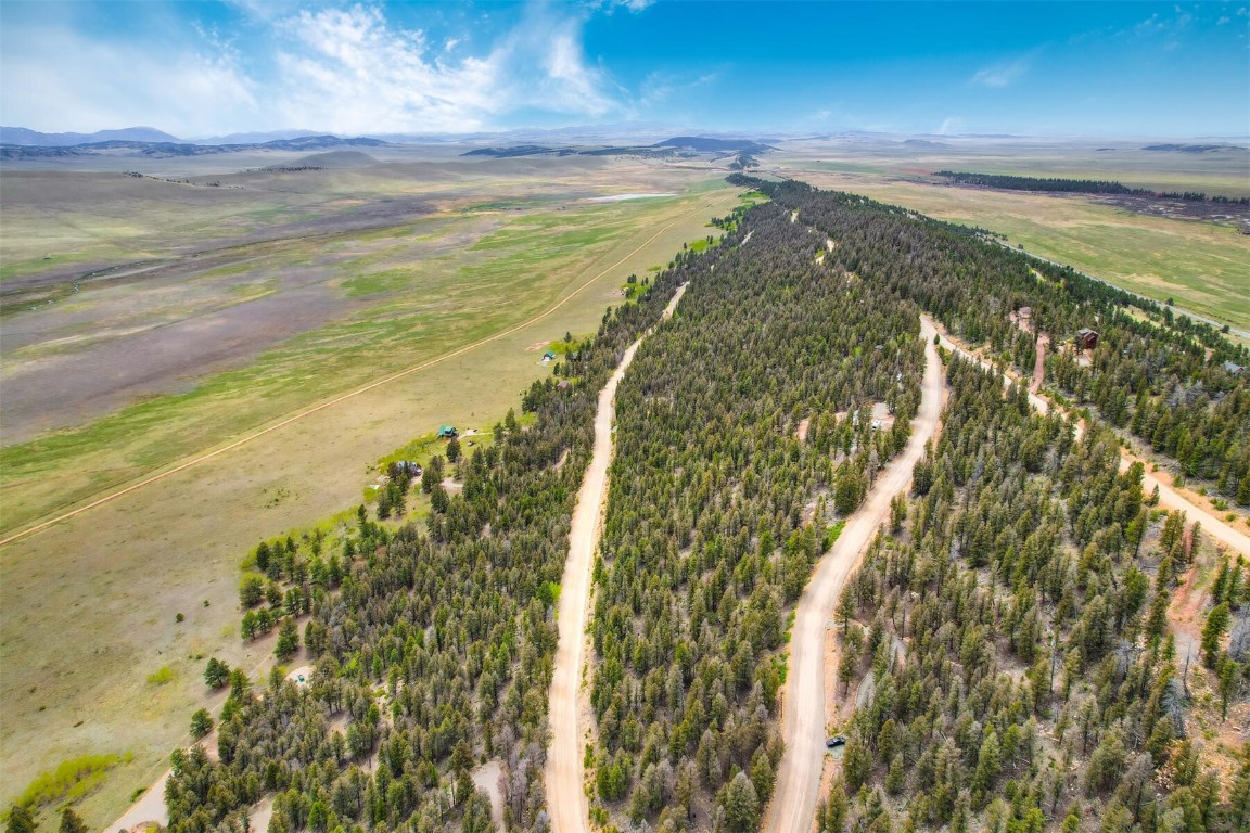 Tbd Trout Creek Lane Fairplay CO 80440
