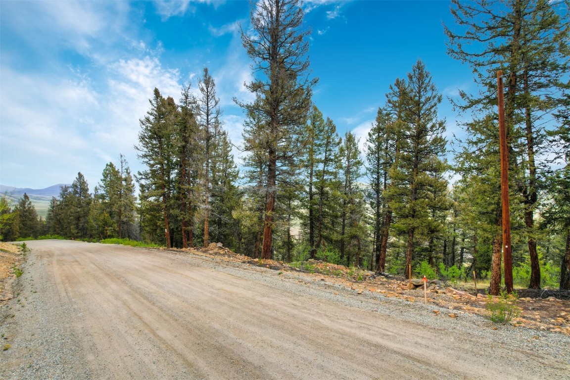 Tbd Trout Creek Lane Fairplay CO 80440