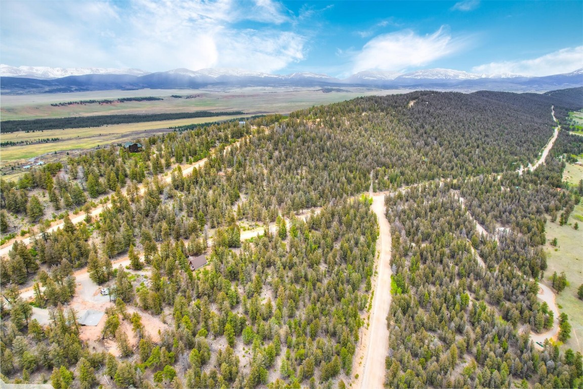 Tbd Trout Creek Lane Fairplay CO 80440
