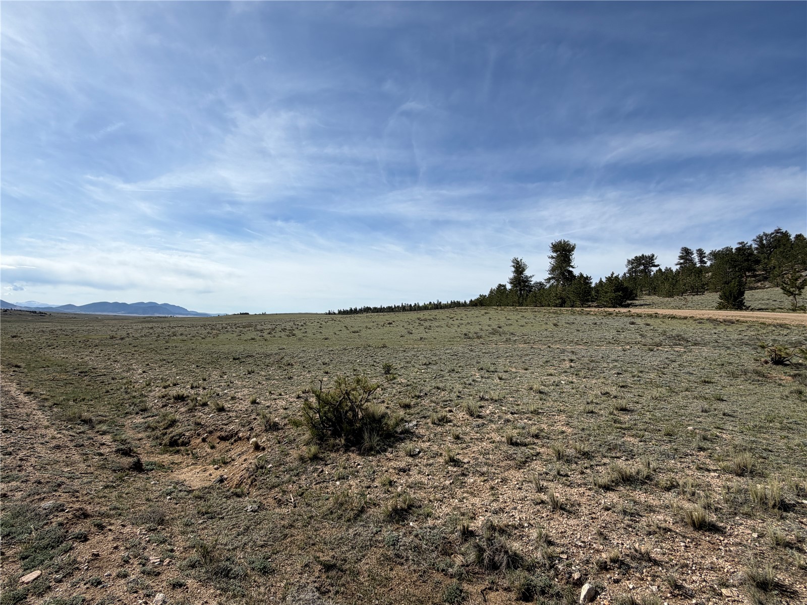 3530 Goldenburg Canyon Road Hartsel CO 80449