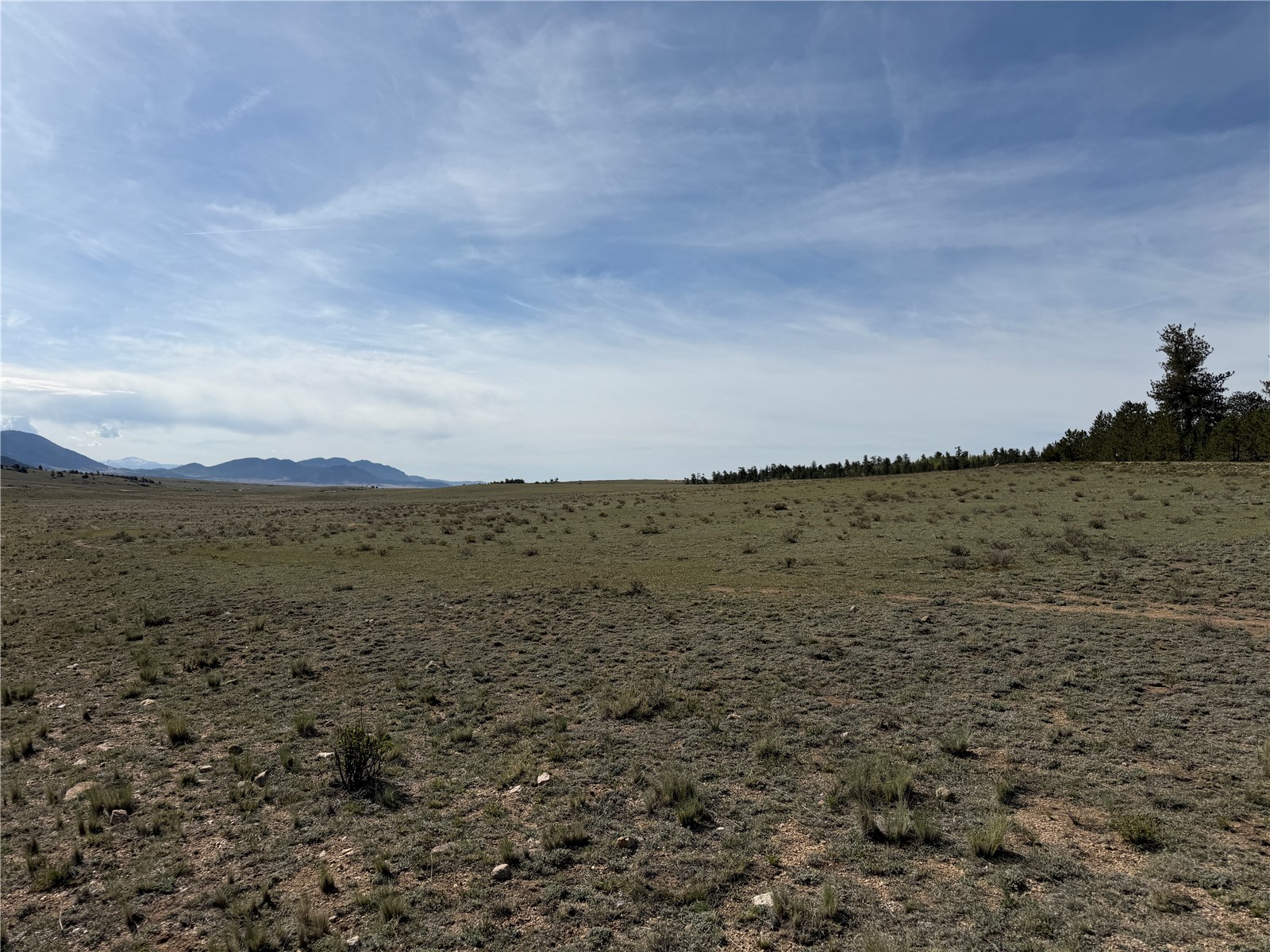 3530 Goldenburg Canyon Road Hartsel CO 80449