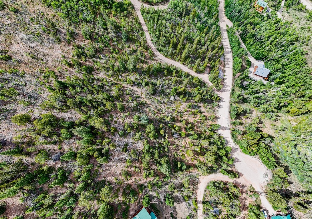 751 Lamb Mountain Road Fairplay CO 80440