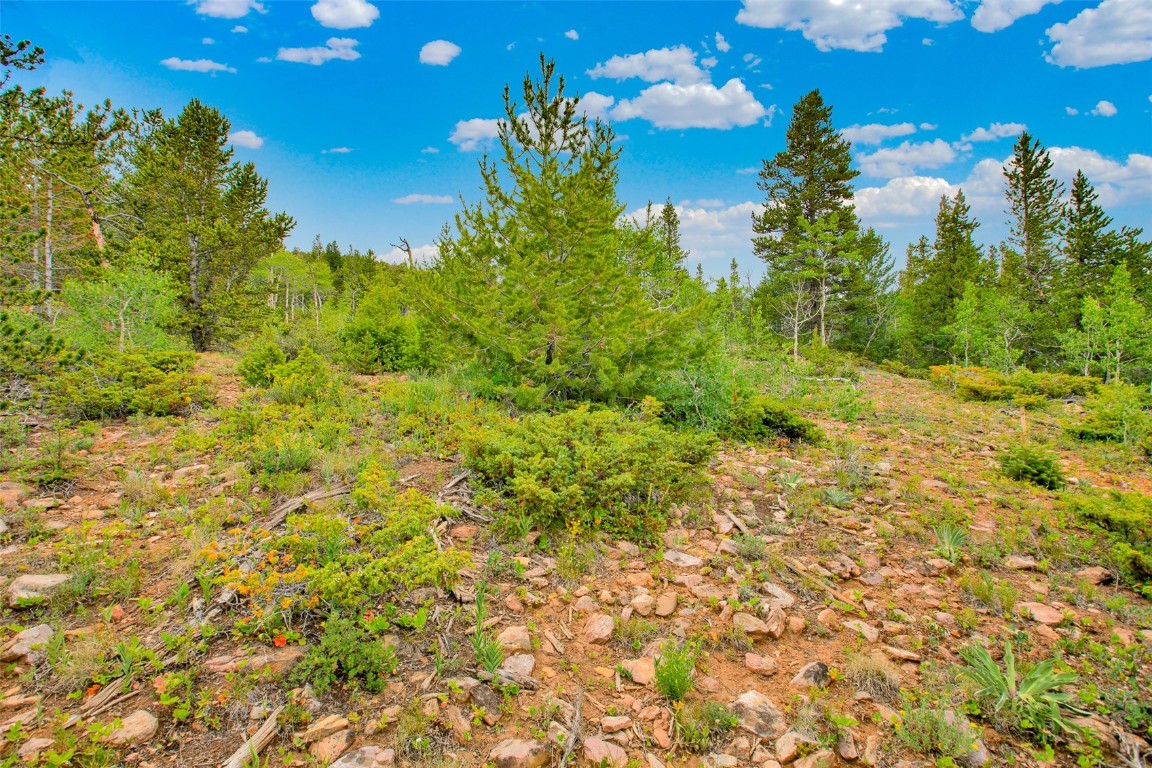 751 Lamb Mountain Road Fairplay CO 80440