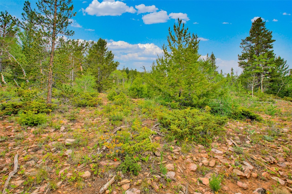 751 Lamb Mountain Road Fairplay CO 80440