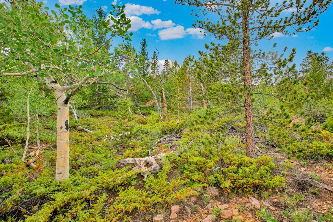 751 Lamb Mountain Road Fairplay CO 80440
