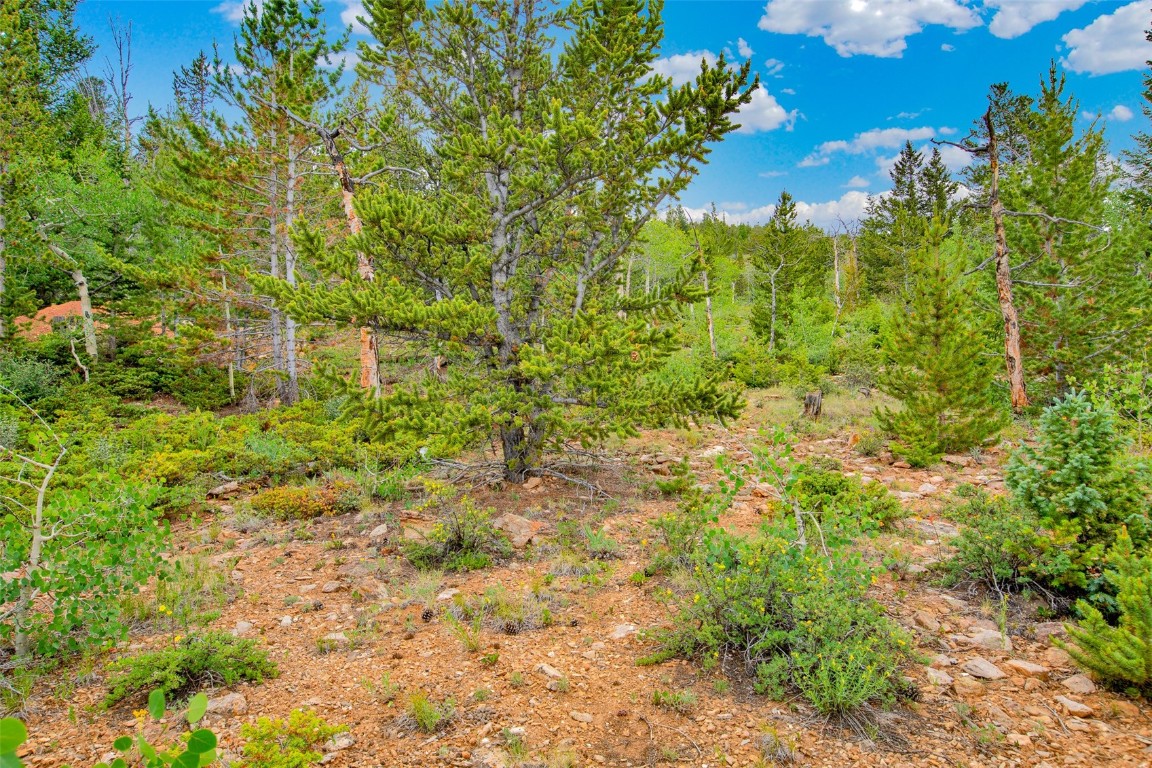 751 Lamb Mountain Road Fairplay CO 80440