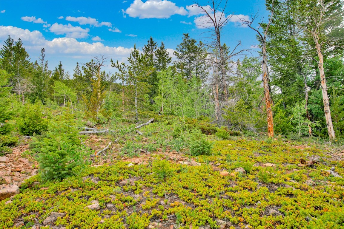 751 Lamb Mountain Road Fairplay CO 80440