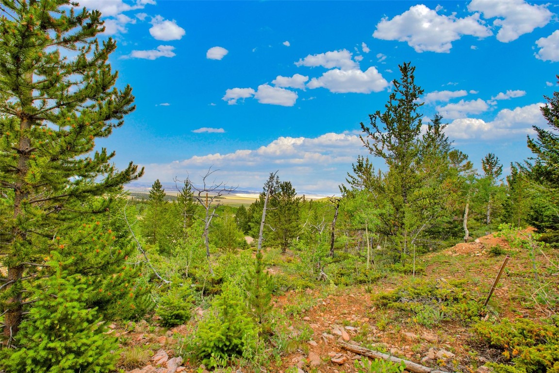 751 Lamb Mountain Road Fairplay CO 80440
