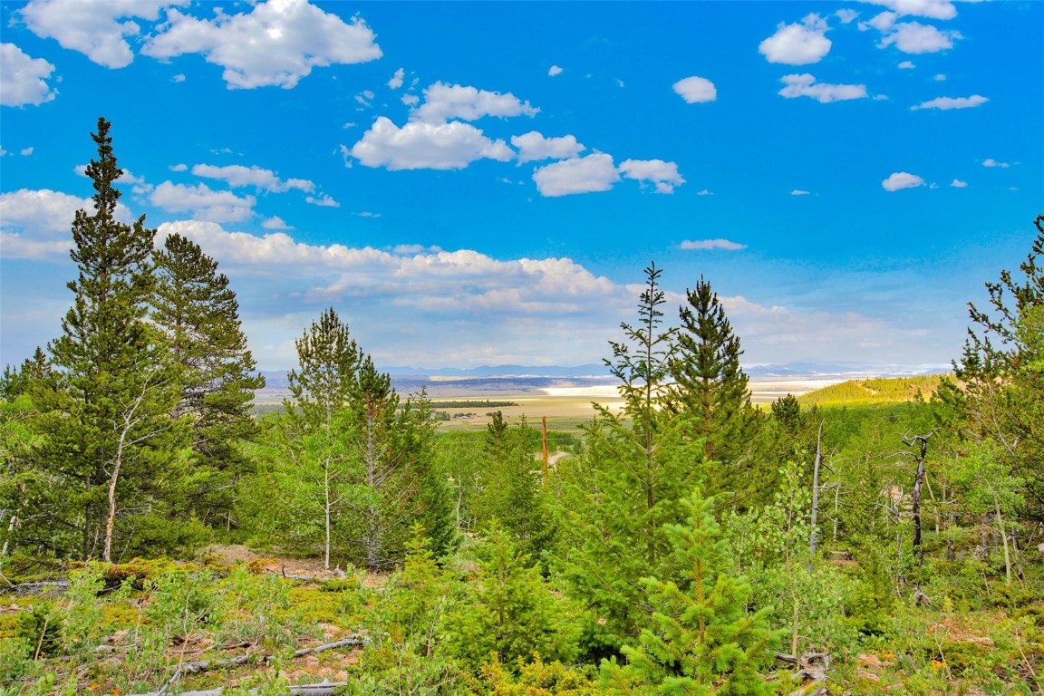 751 Lamb Mountain Road Fairplay CO 80440