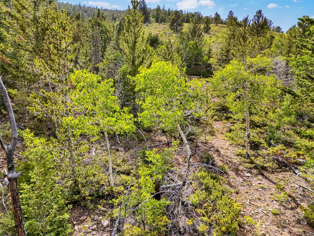 751 Lamb Mountain Road Fairplay CO 80440