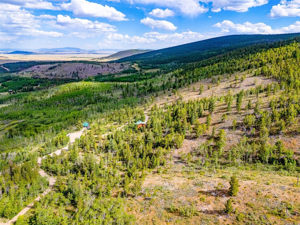 751 Lamb Mountain Road Fairplay CO 80440