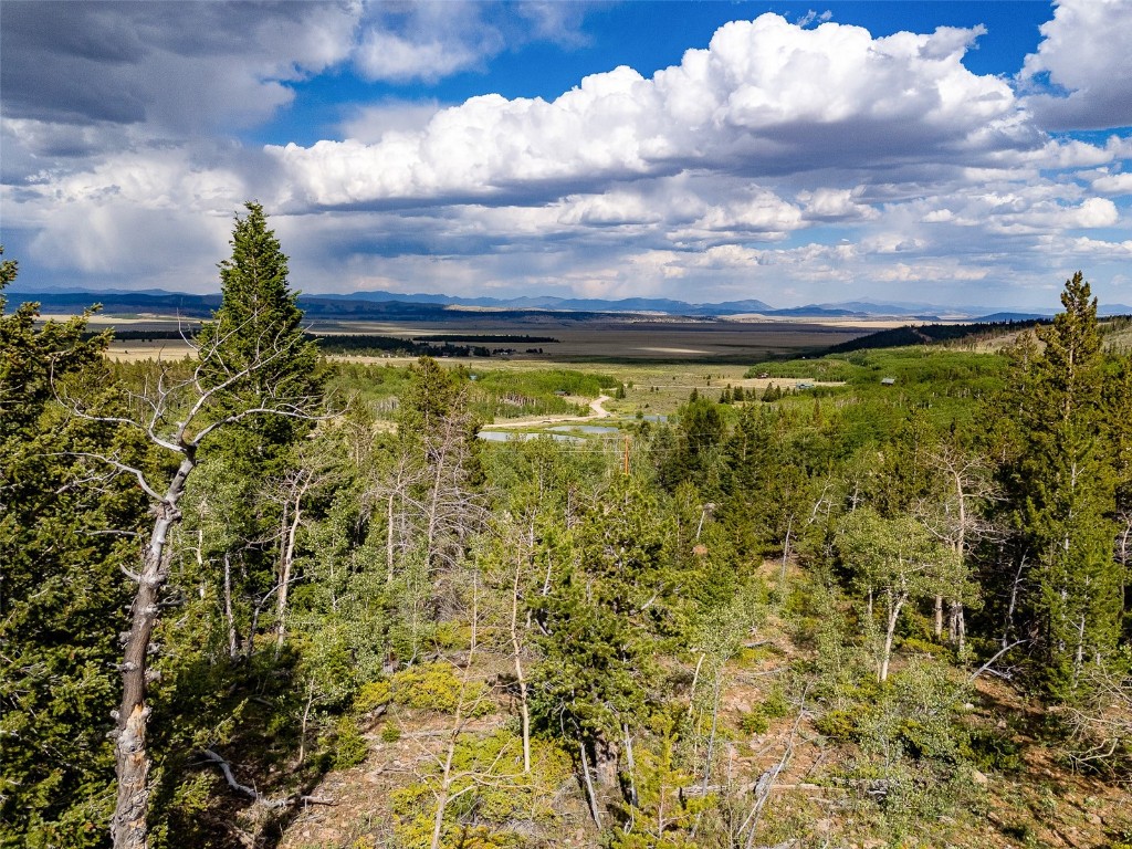 751 Lamb Mountain Road Fairplay CO 80440