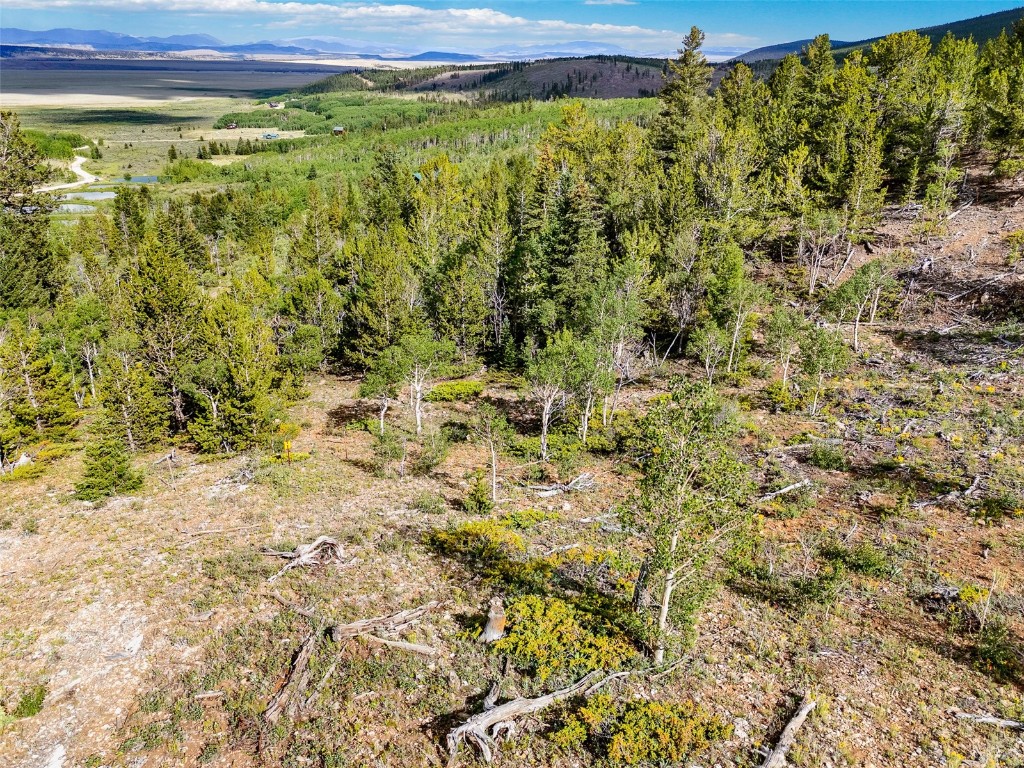 751 Lamb Mountain Road Fairplay CO 80440