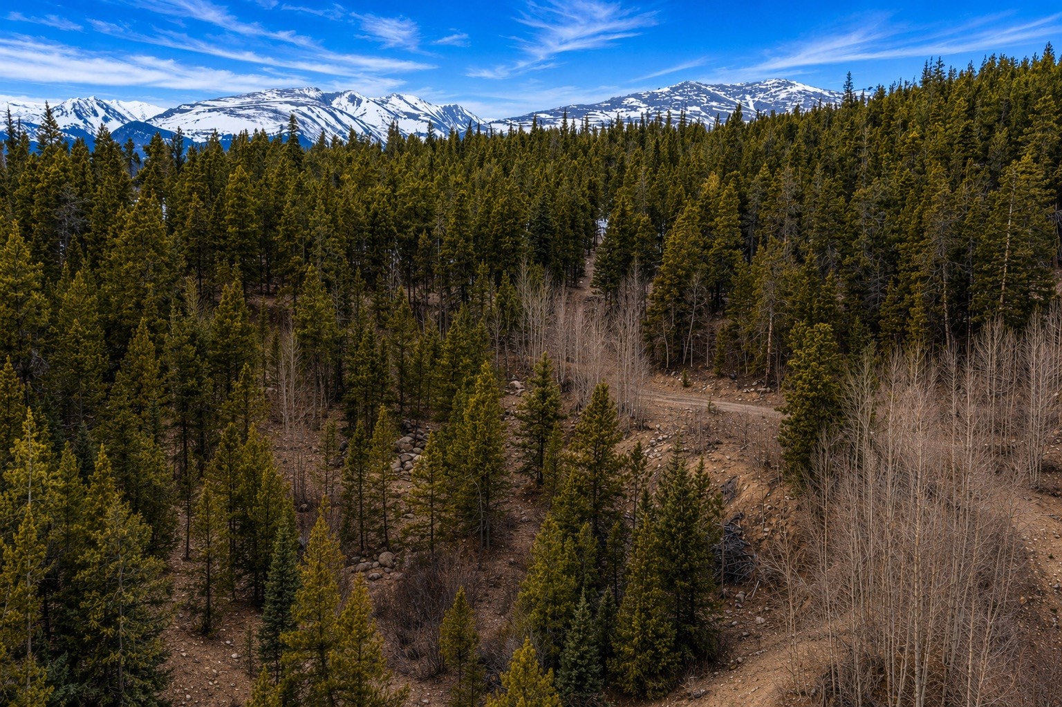 000 Beaver Creek Road Alma CO 80420
