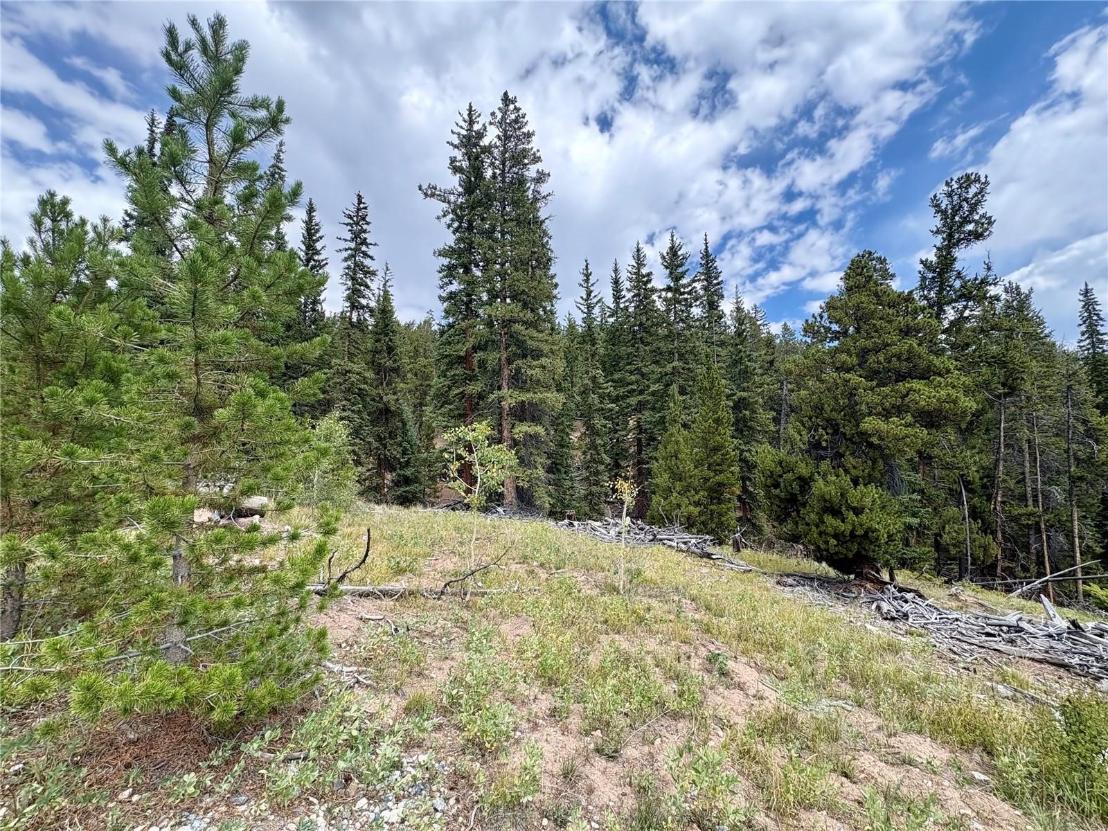 000 Beaver Creek Road Alma CO 80420