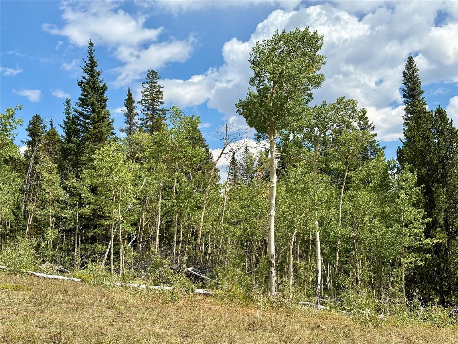000 Beaver Creek Road Alma CO 80420