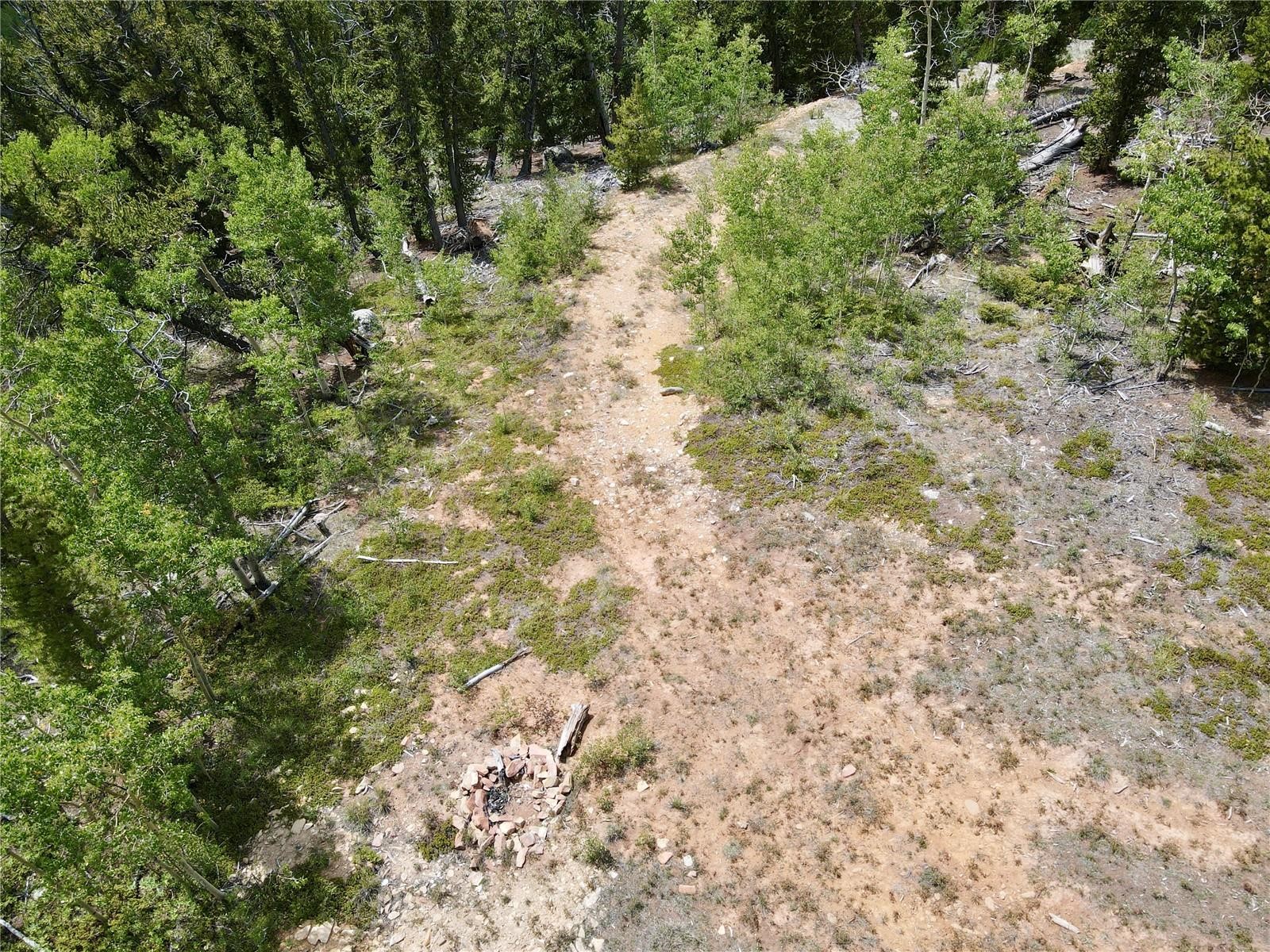 000 Beaver Creek Road Alma CO 80420