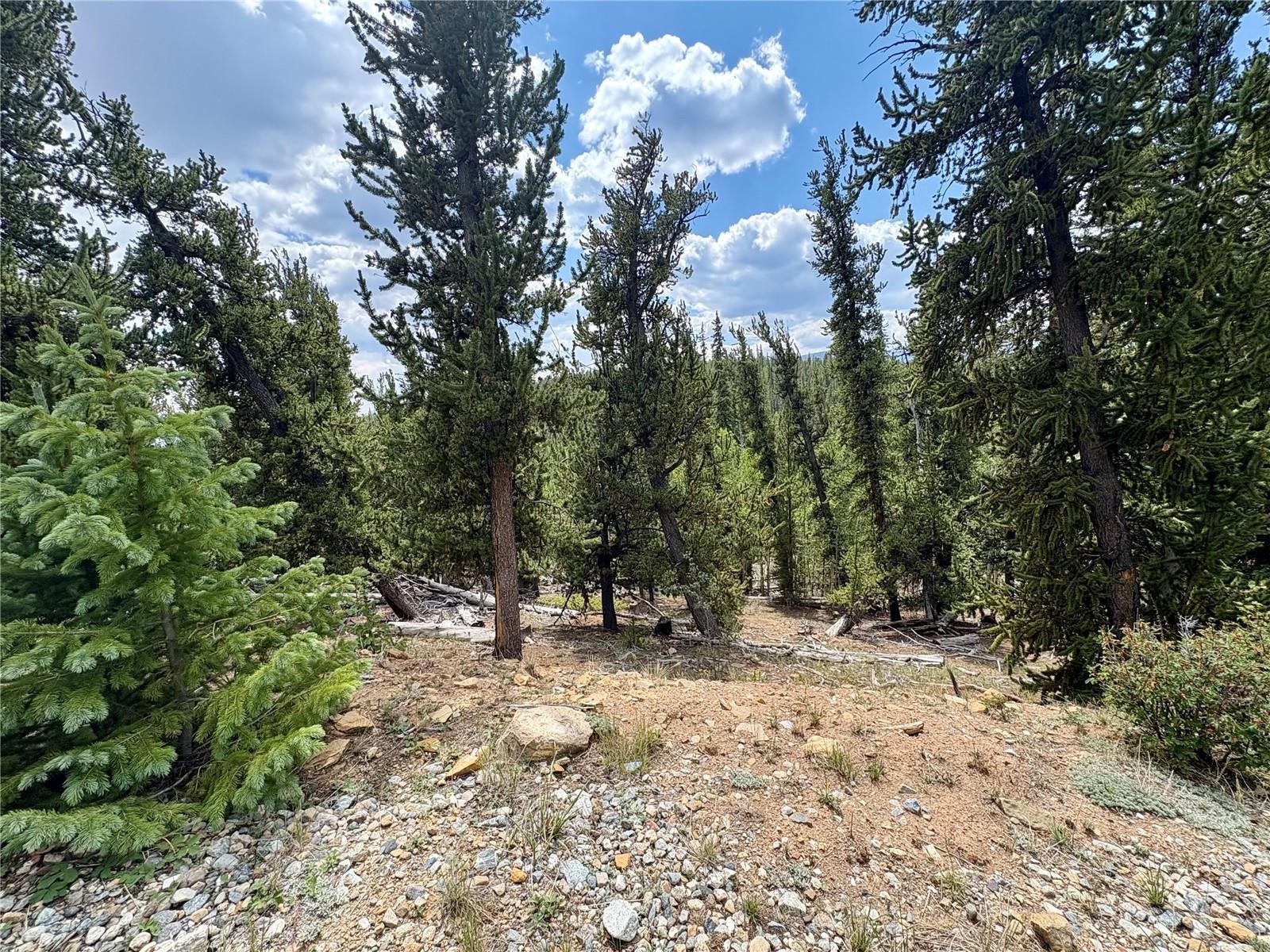 000 Beaver Creek Road Alma CO 80420
