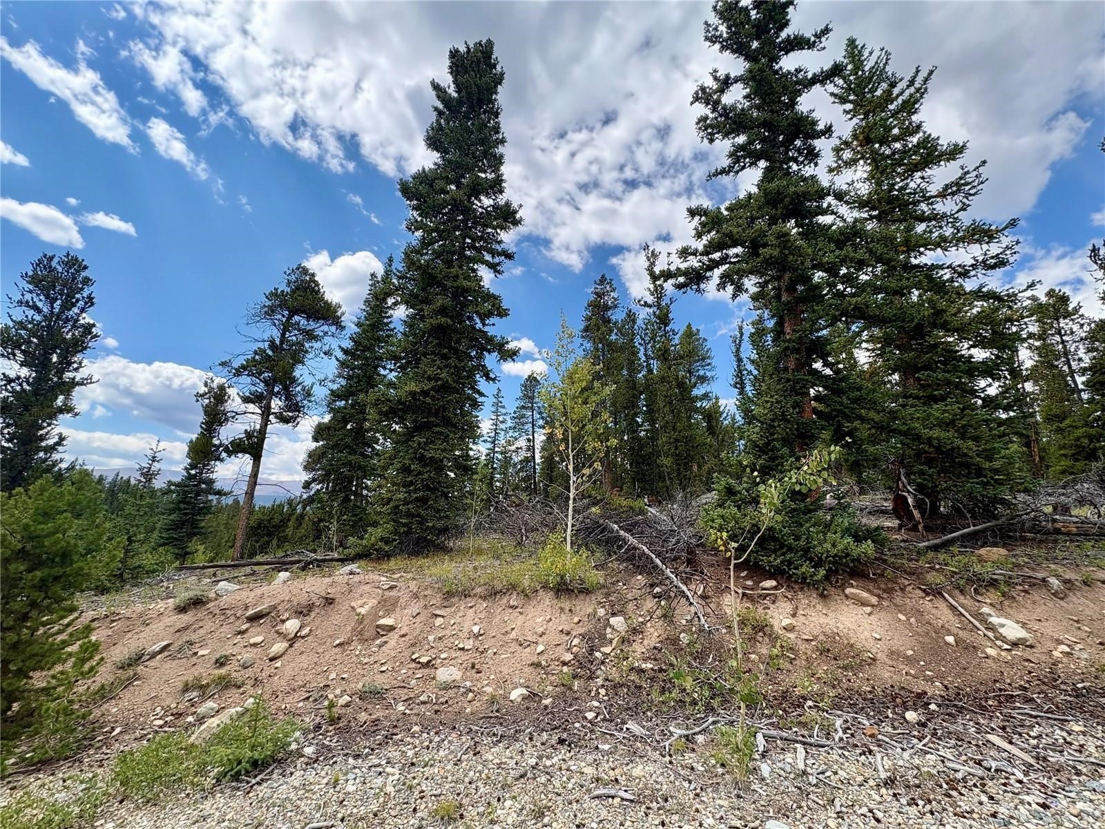 000 Beaver Creek Road Alma CO 80420