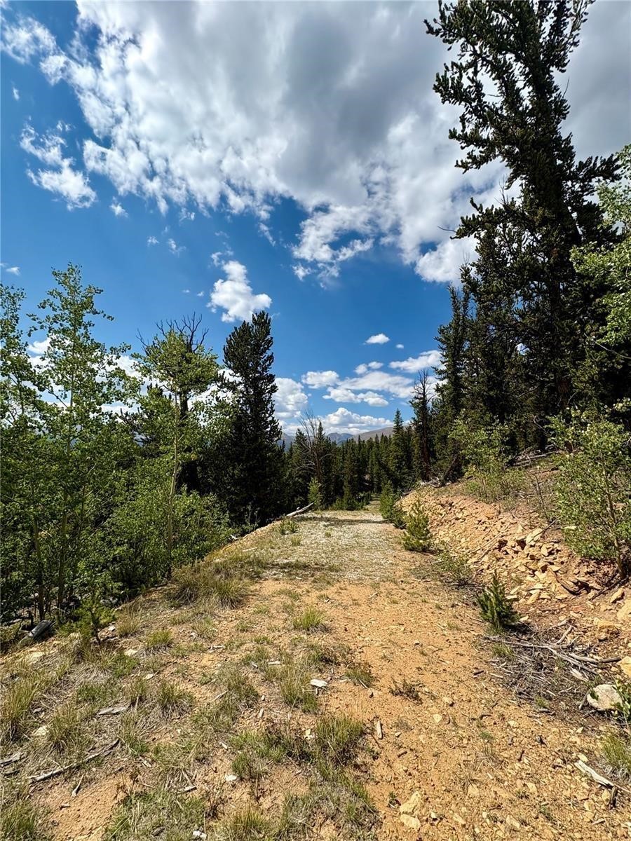 000 Beaver Creek Road Alma CO 80420