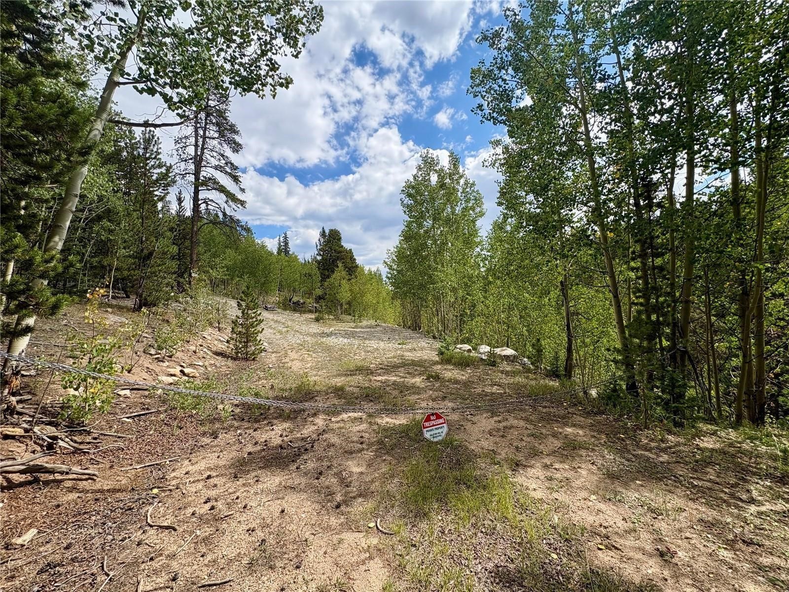 000 Beaver Creek Road Alma CO 80420