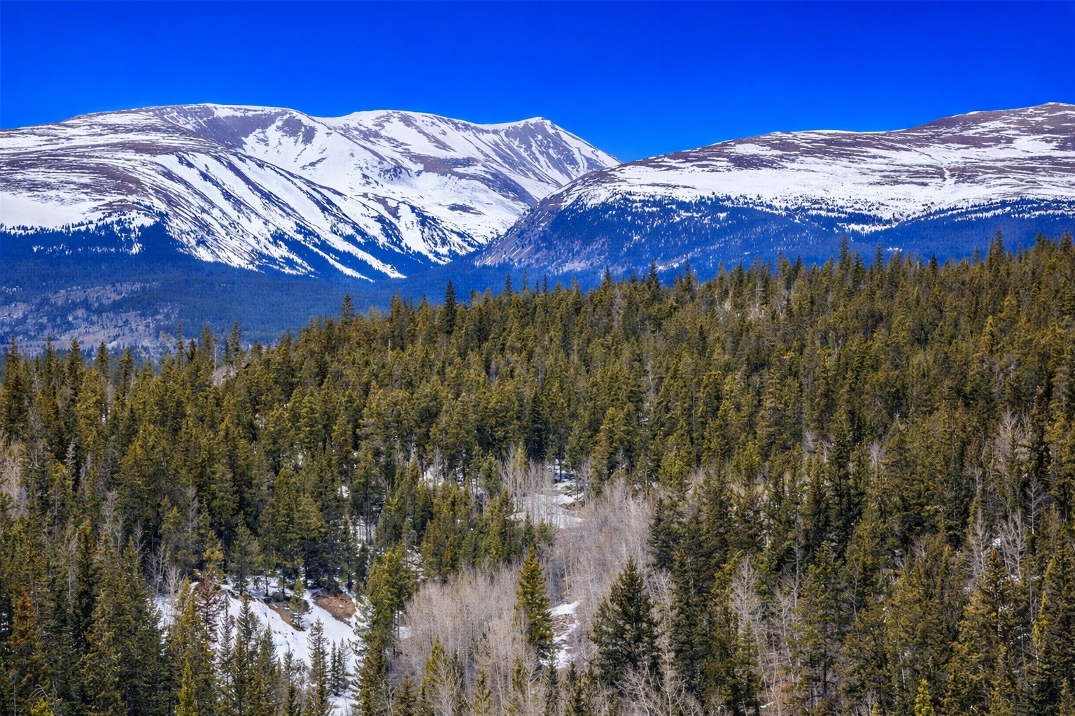 000 Beaver Creek Road Alma CO 80420