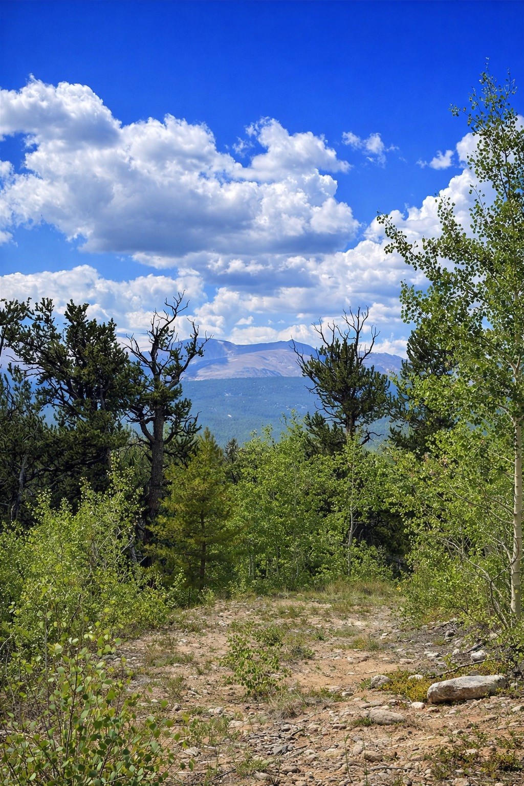 000 Beaver Creek Road Alma CO 80420