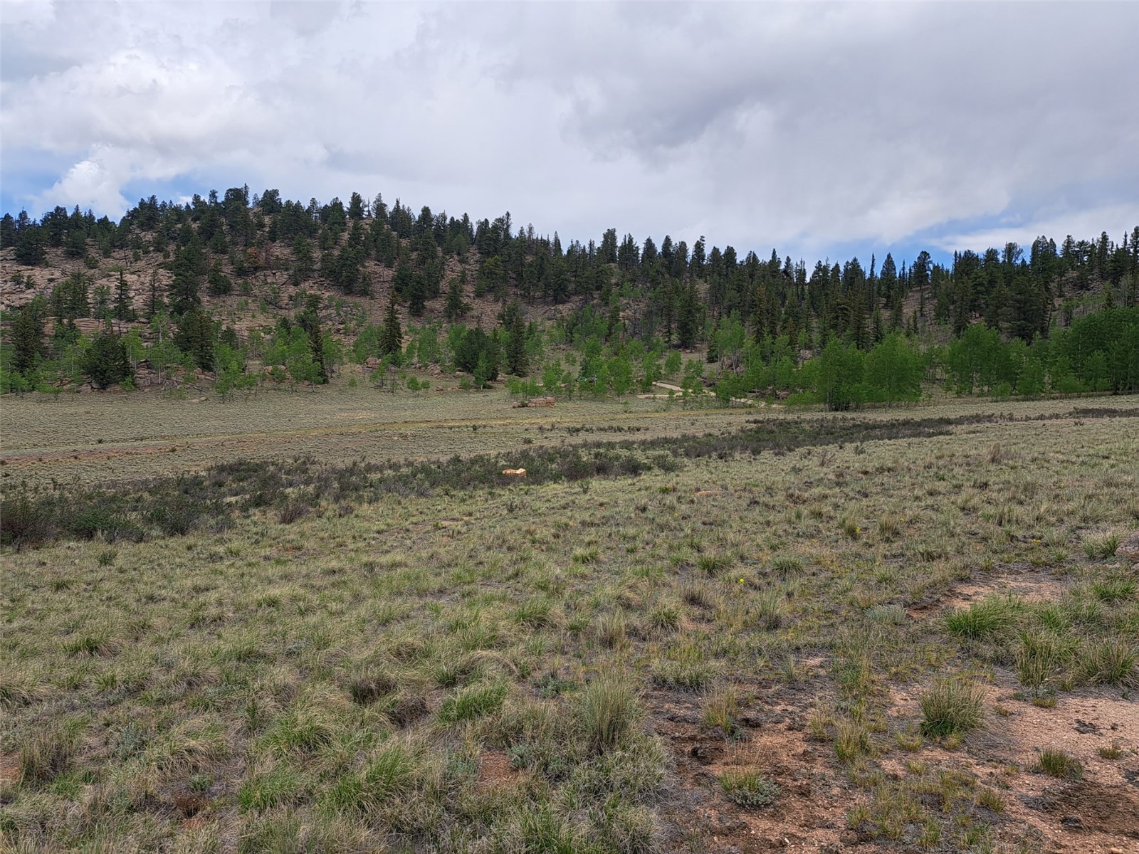 80 Longbow Court Como CO 80432