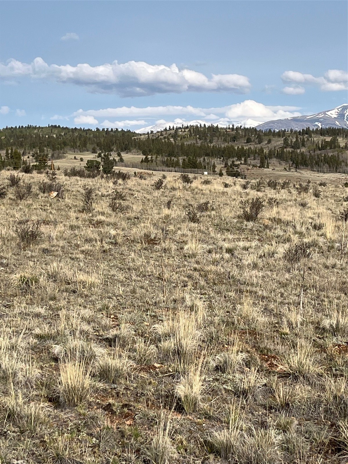 1441 Longbow Drive Como CO 80432